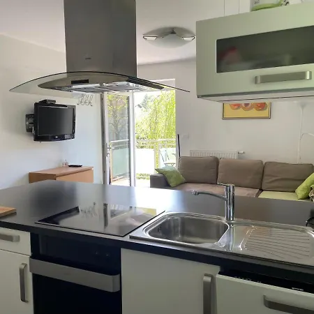 Apartment Rose In Winter Bled