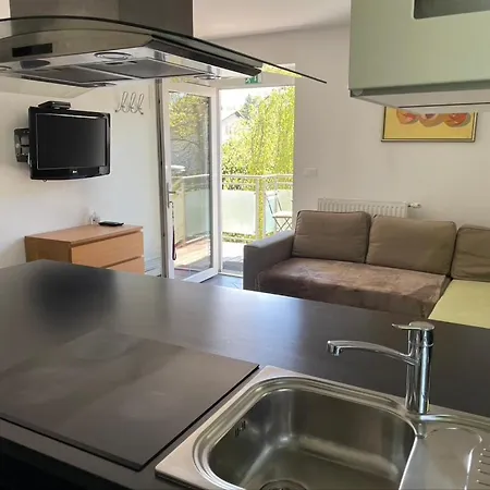 Rose In Winter Apartament Bled