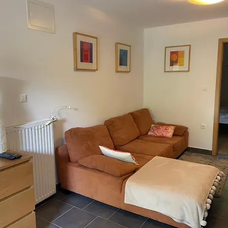 Rose In Winter Apartament *