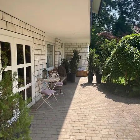 Rose In Winter Apartment *