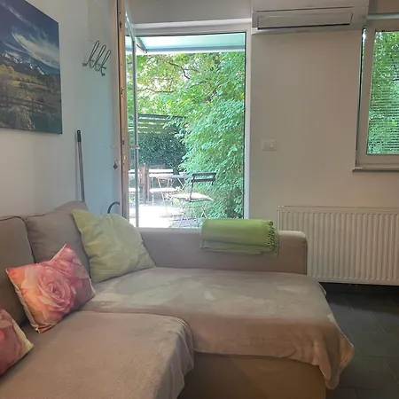 Rose In Winter * Bled