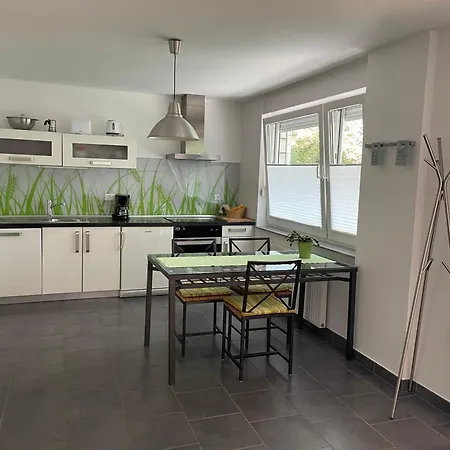 Rose In Winter Apartament *