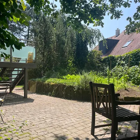 Rose In Winter Apartament