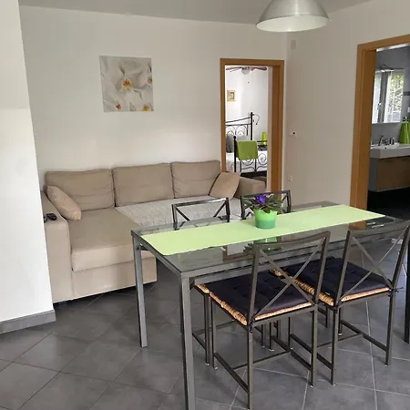 Apartment Rose In Winter *