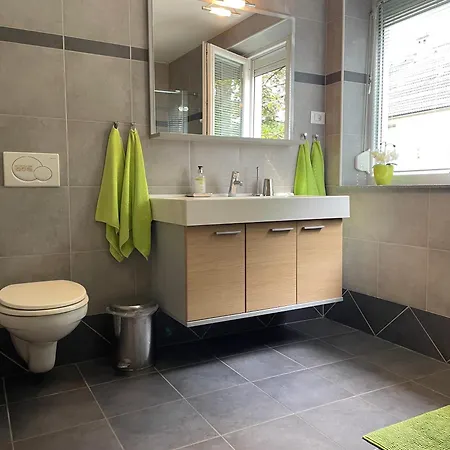 Rose In Winter Apartament