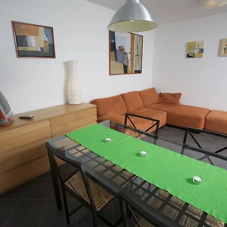 Rose In Winter Apartment