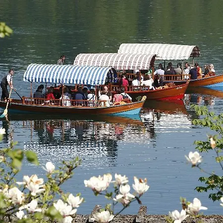 Apartament Rose In Winter Bled