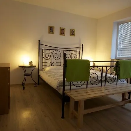 Rose In Winter Apartment *