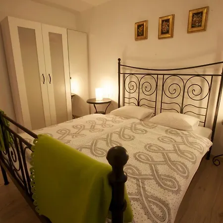 Apartment Rose In Winter