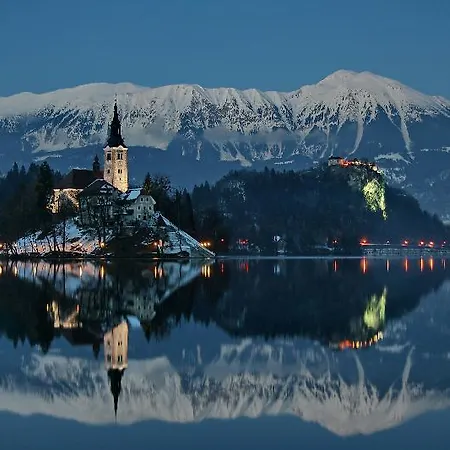 Rose In Winter * Bled