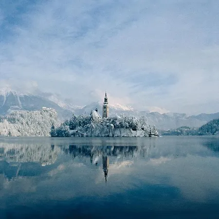 Appartement Rose In Winter Bled
