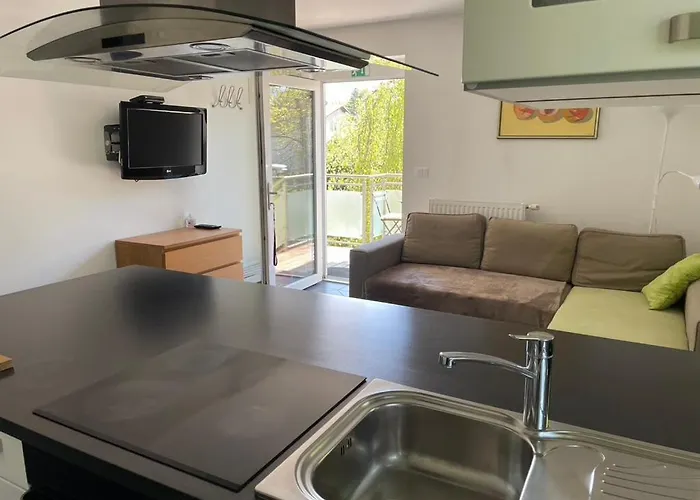 Rose In Winter Lejlighed Bled