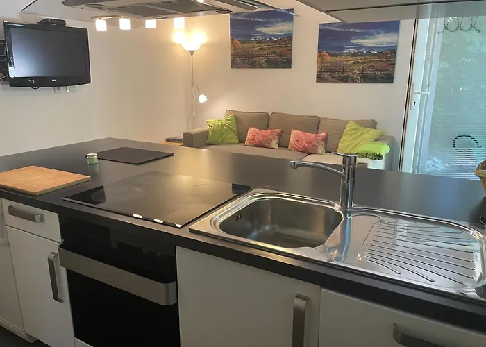 Διαμέρισμα Rose In Winter *