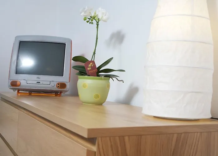 Rose In Winter * Bled