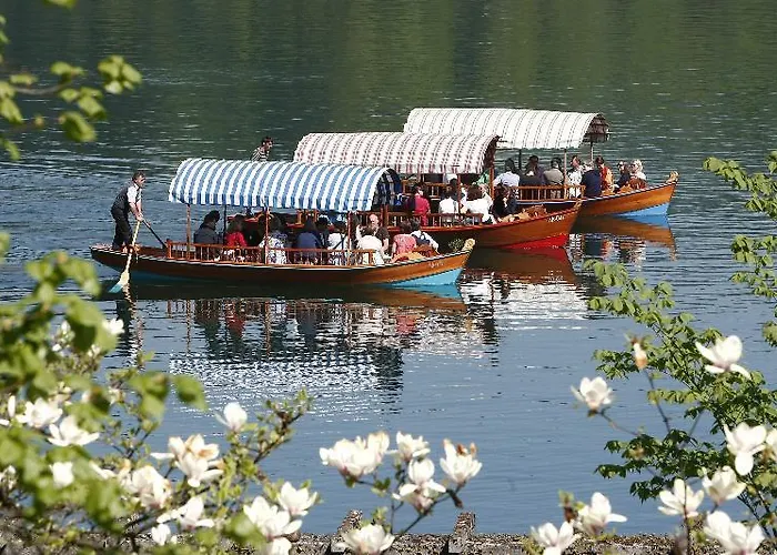 Διαμέρισμα Rose In Winter Μπλεντ