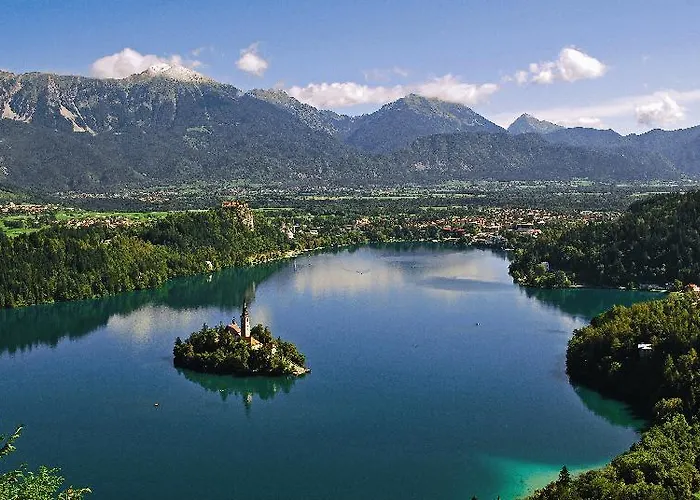 Διαμέρισμα Rose In Winter Μπλεντ