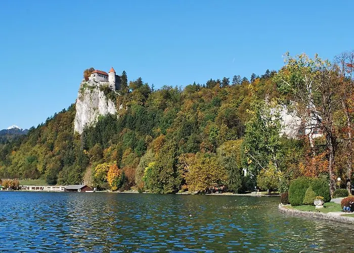 Διαμέρισμα Rose In Winter Μπλεντ
