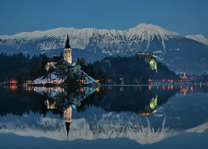 Rose In Winter * Bled