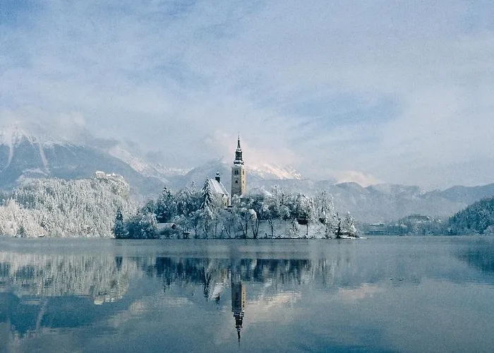 Lejlighed Rose In Winter Bled